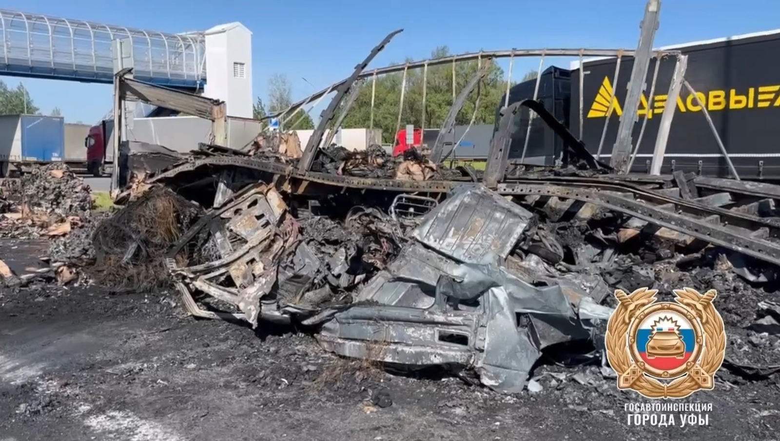 скриншот видео.