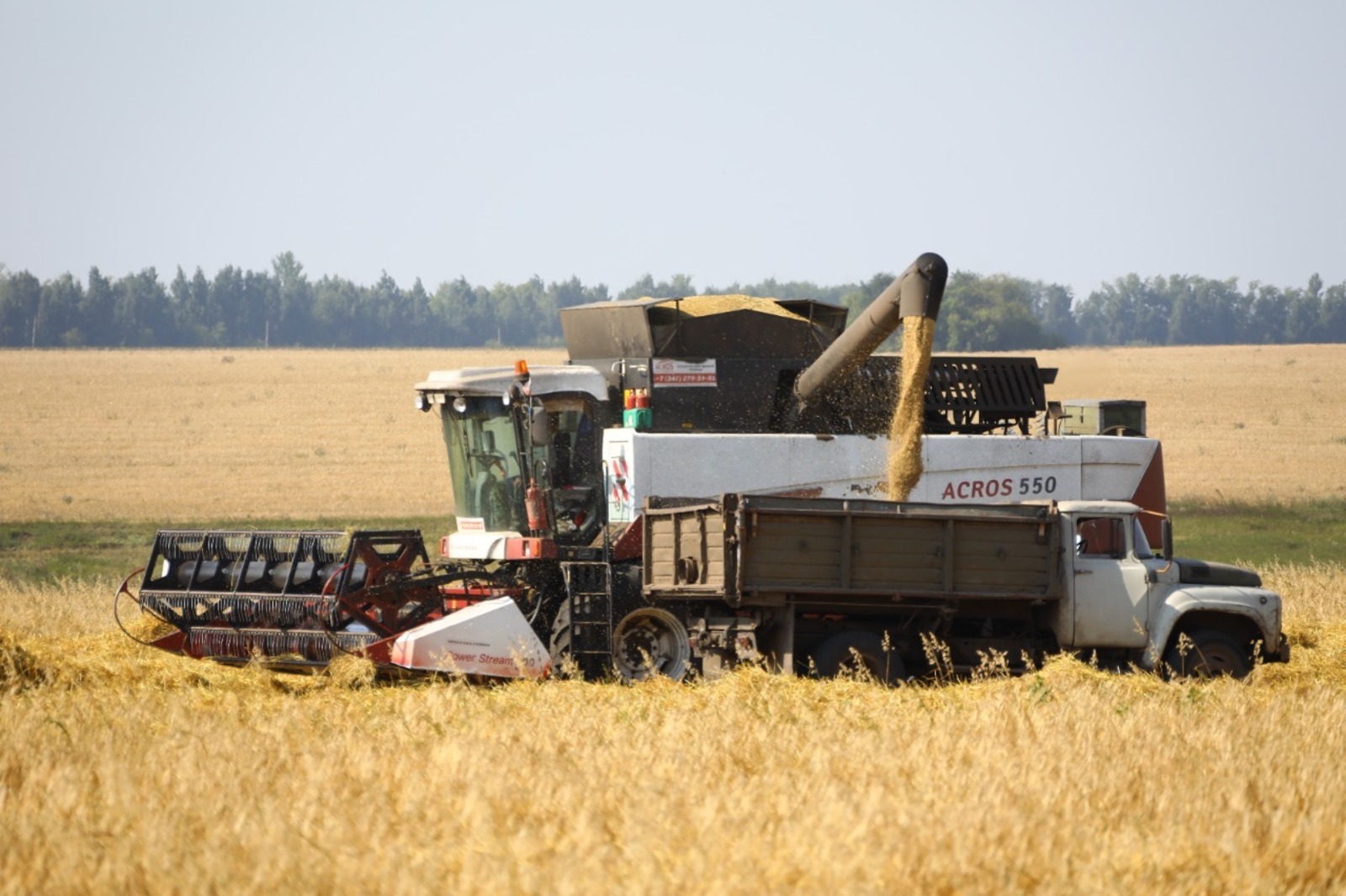 ИА «Башинформ».