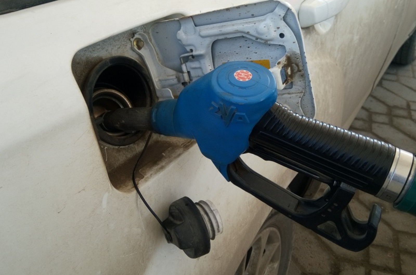 Фото Васили Саитовой.