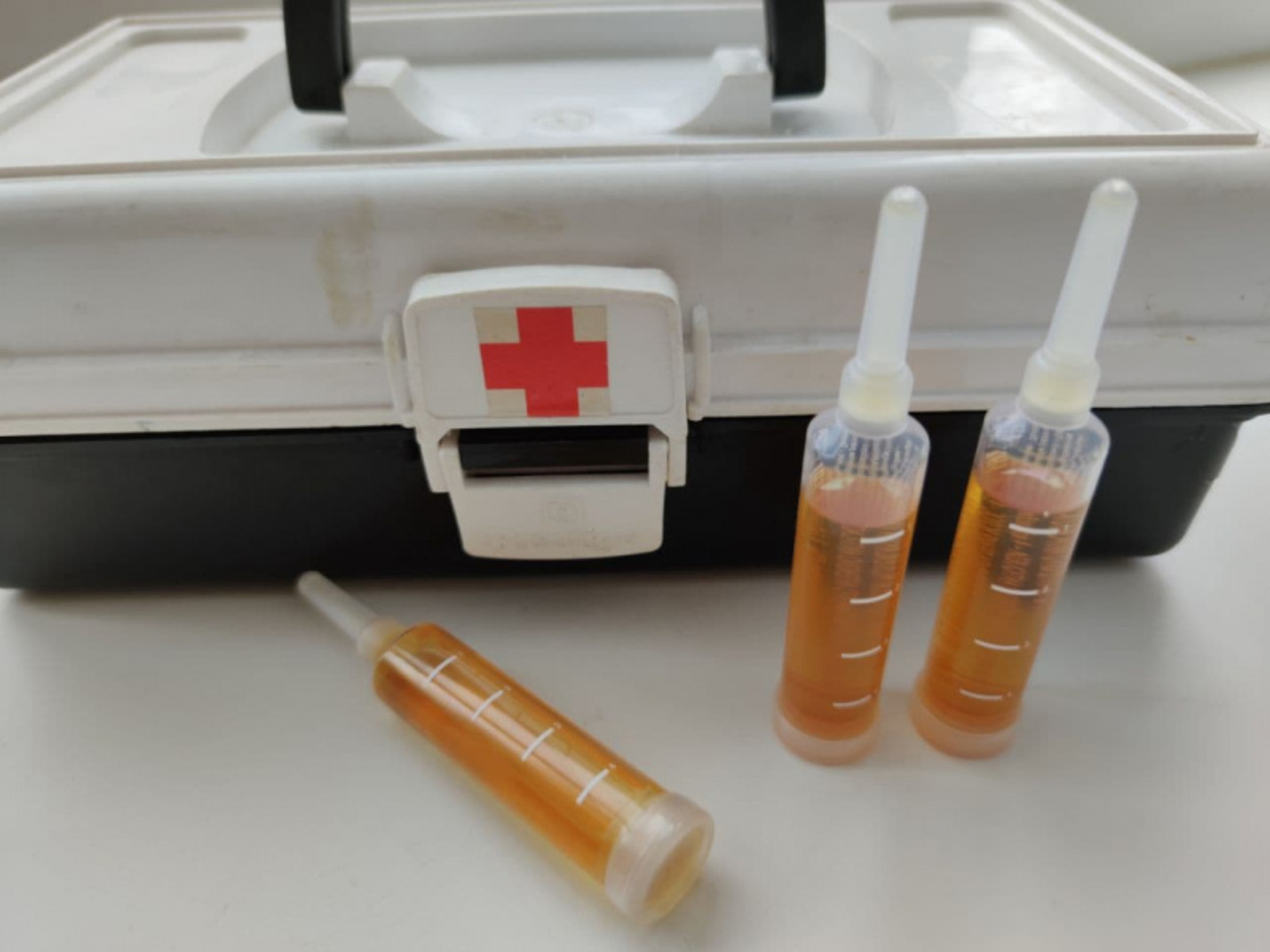 Фото автора.