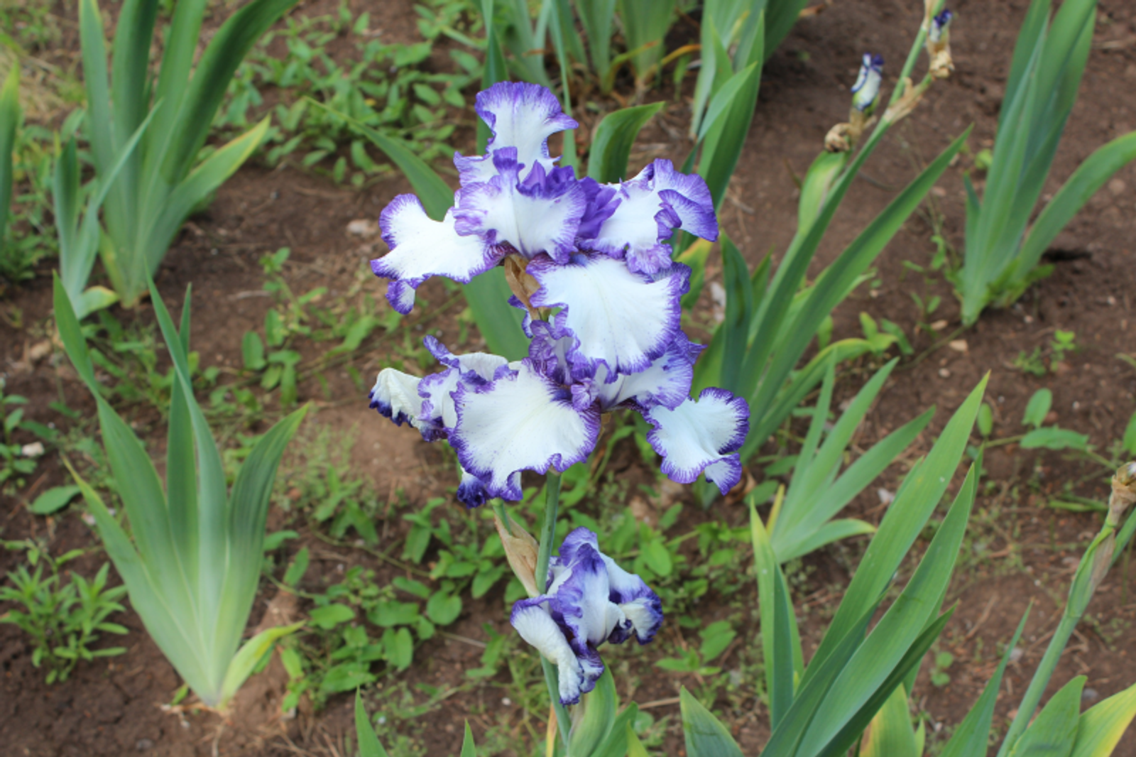 Фото автора.