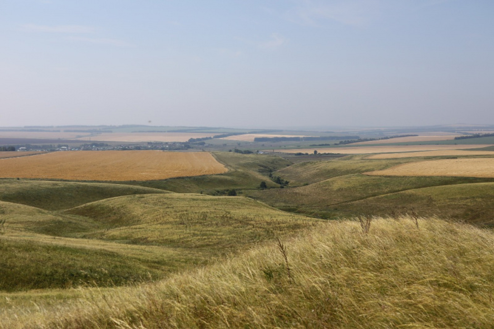 Фото с личной страницы Радия Хабирова в соцсетях.