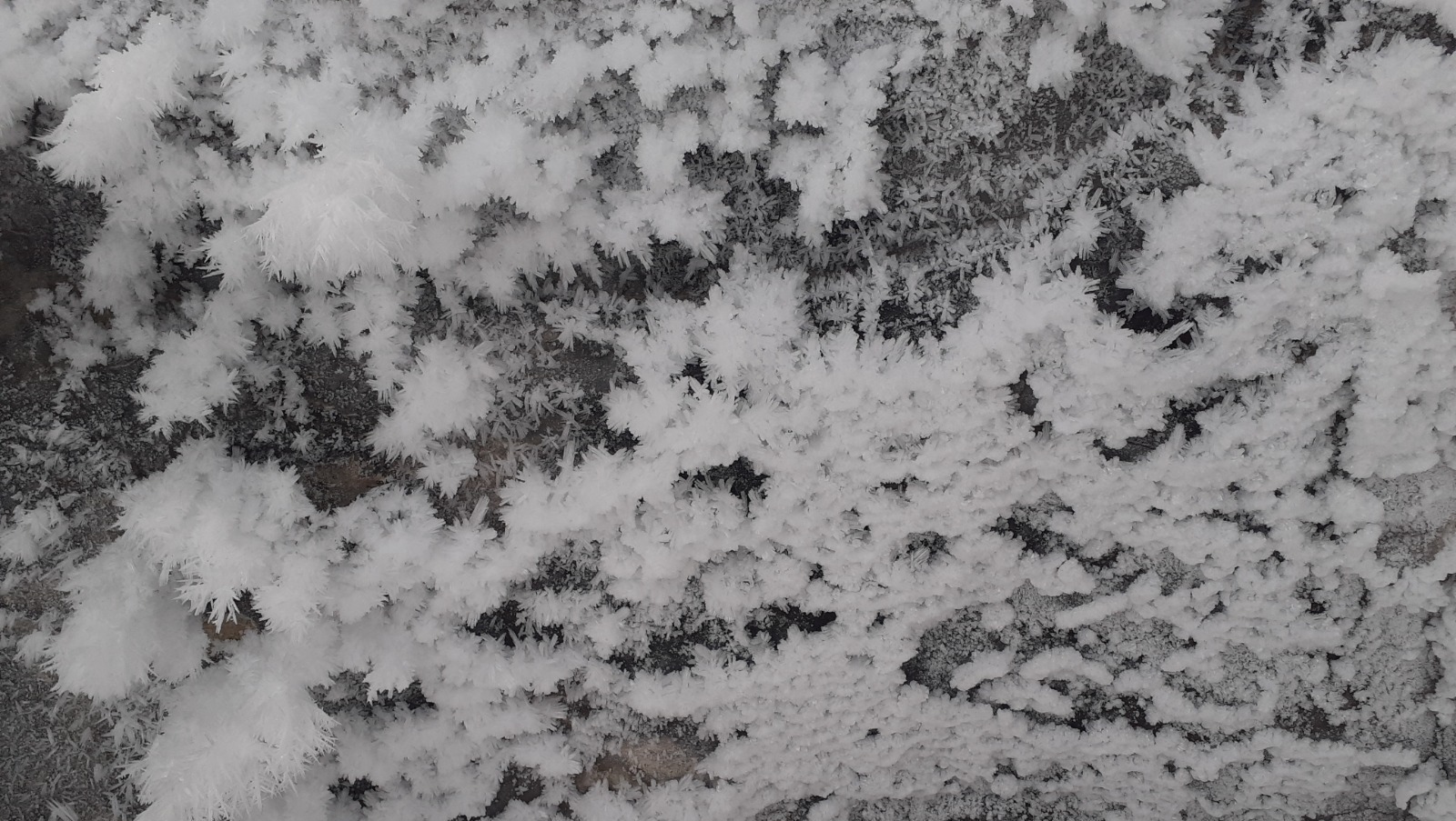 Владимира Шакиева.