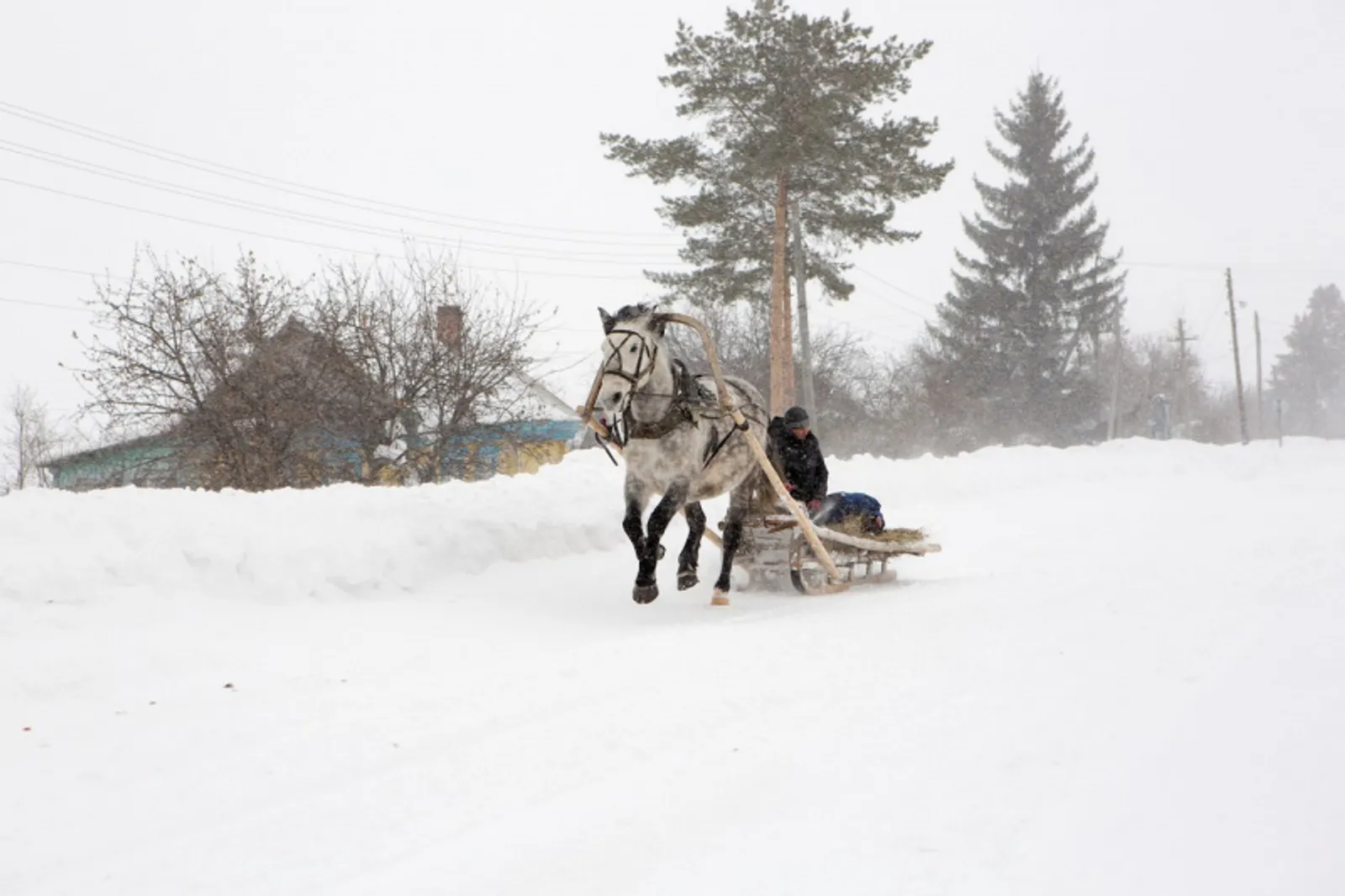 Фото Фаиля Абсатарова.