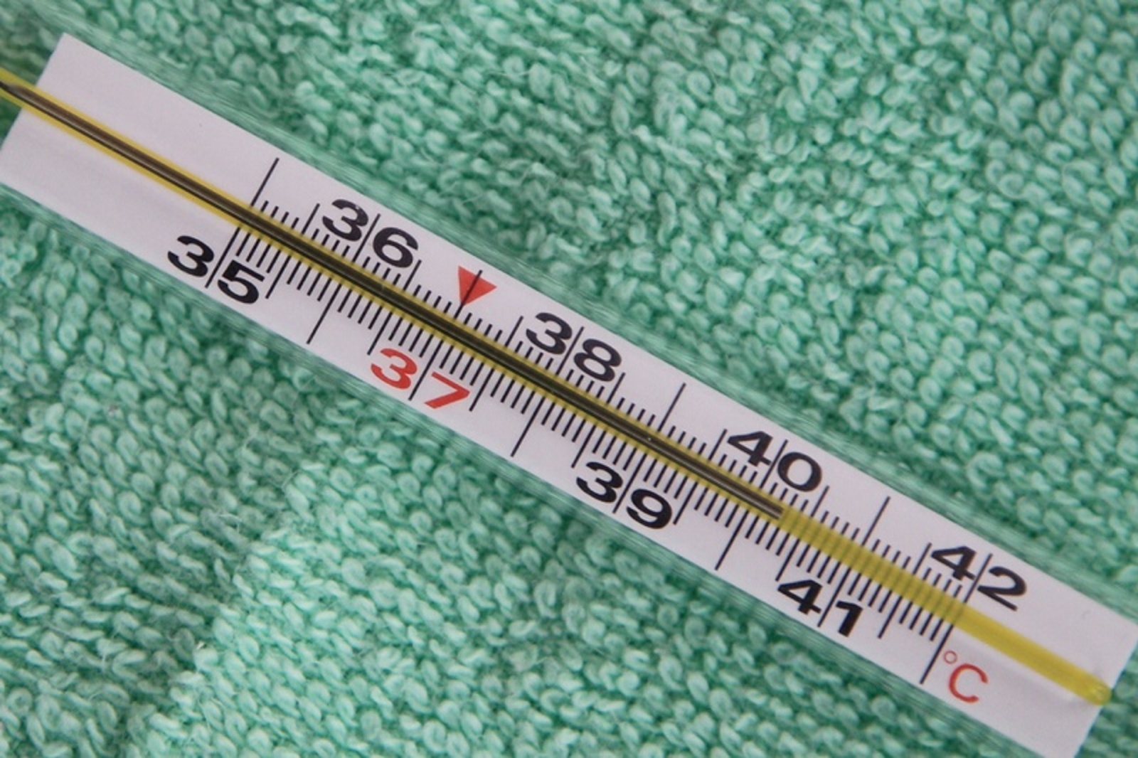 Фото Олега Яровикова.