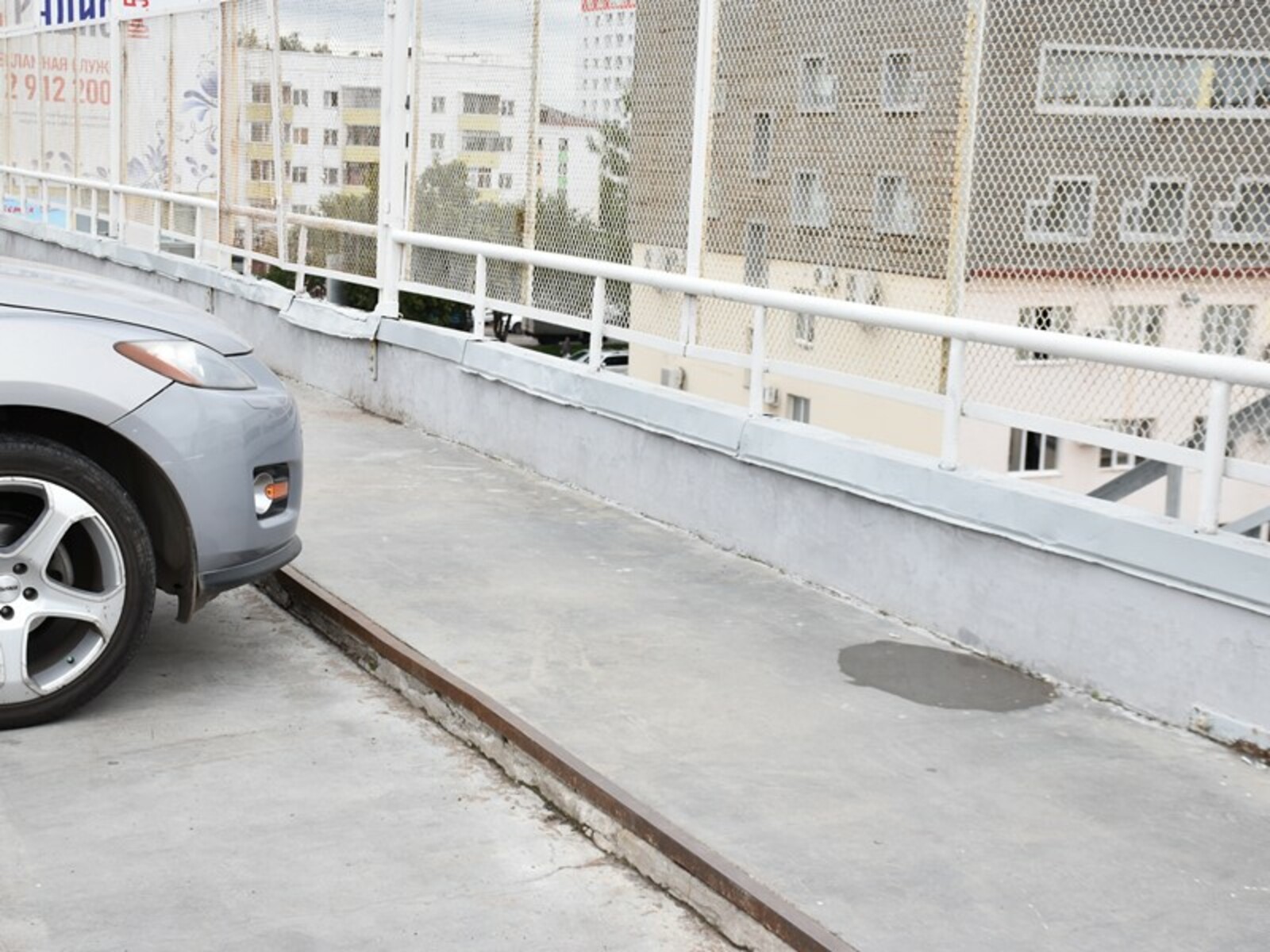 Фото Елены Колоколовой.