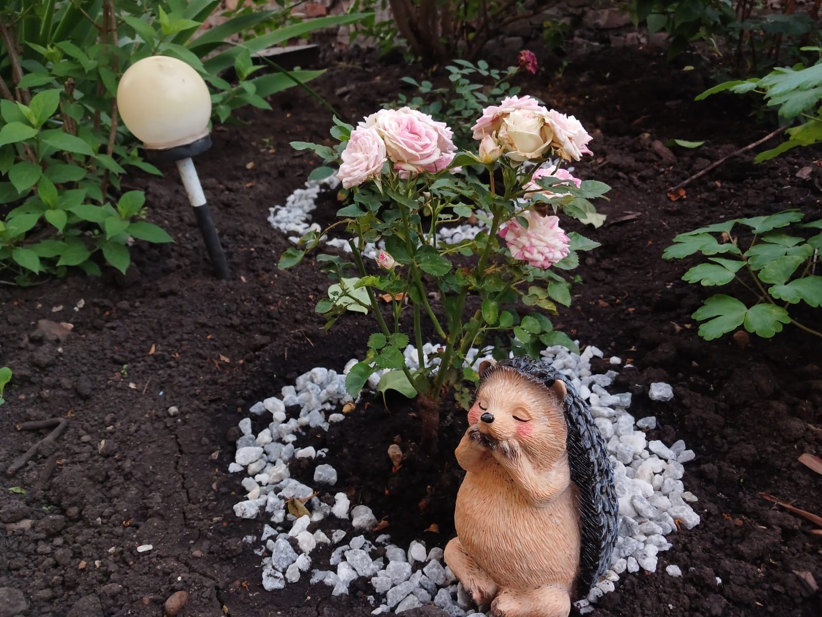 Васили Саитовой.