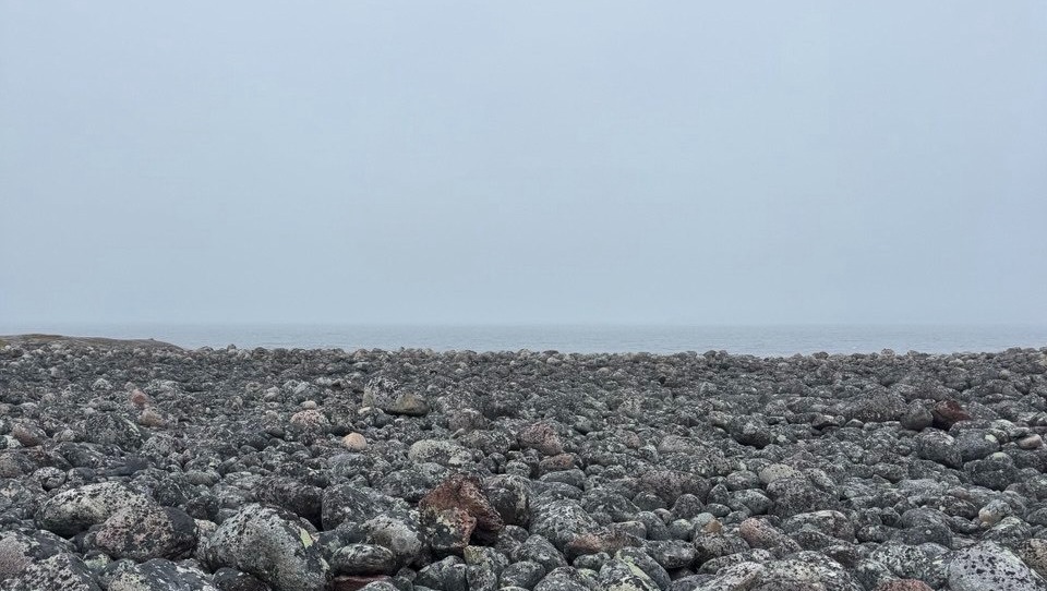 Елены Колоколовой.  "Общественная электронная газета".