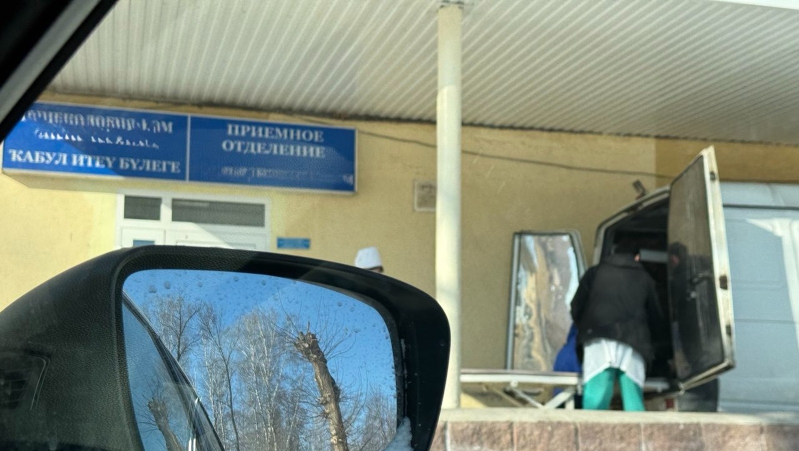 Елены Колоколовой.