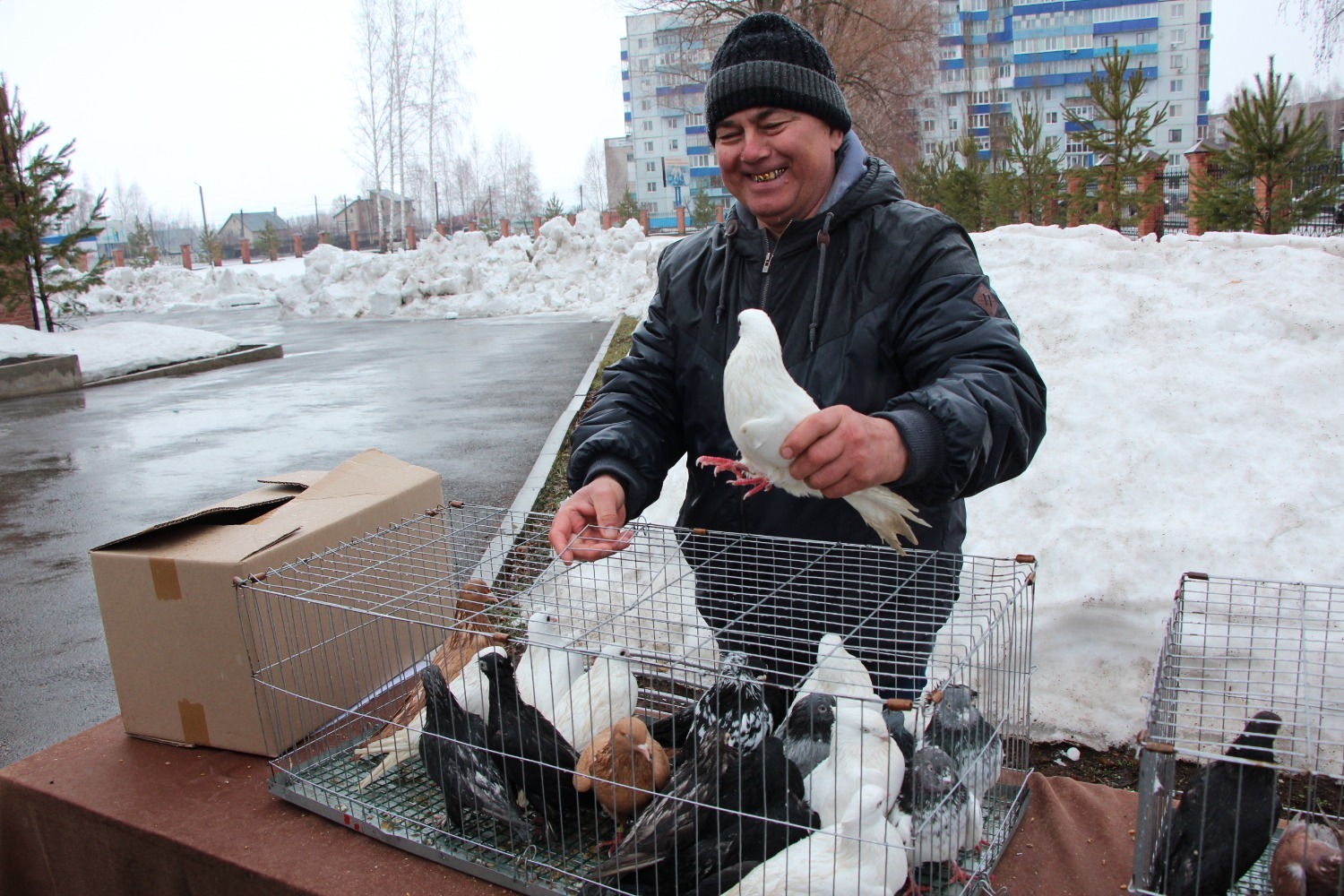 Евгении Сюткиной.