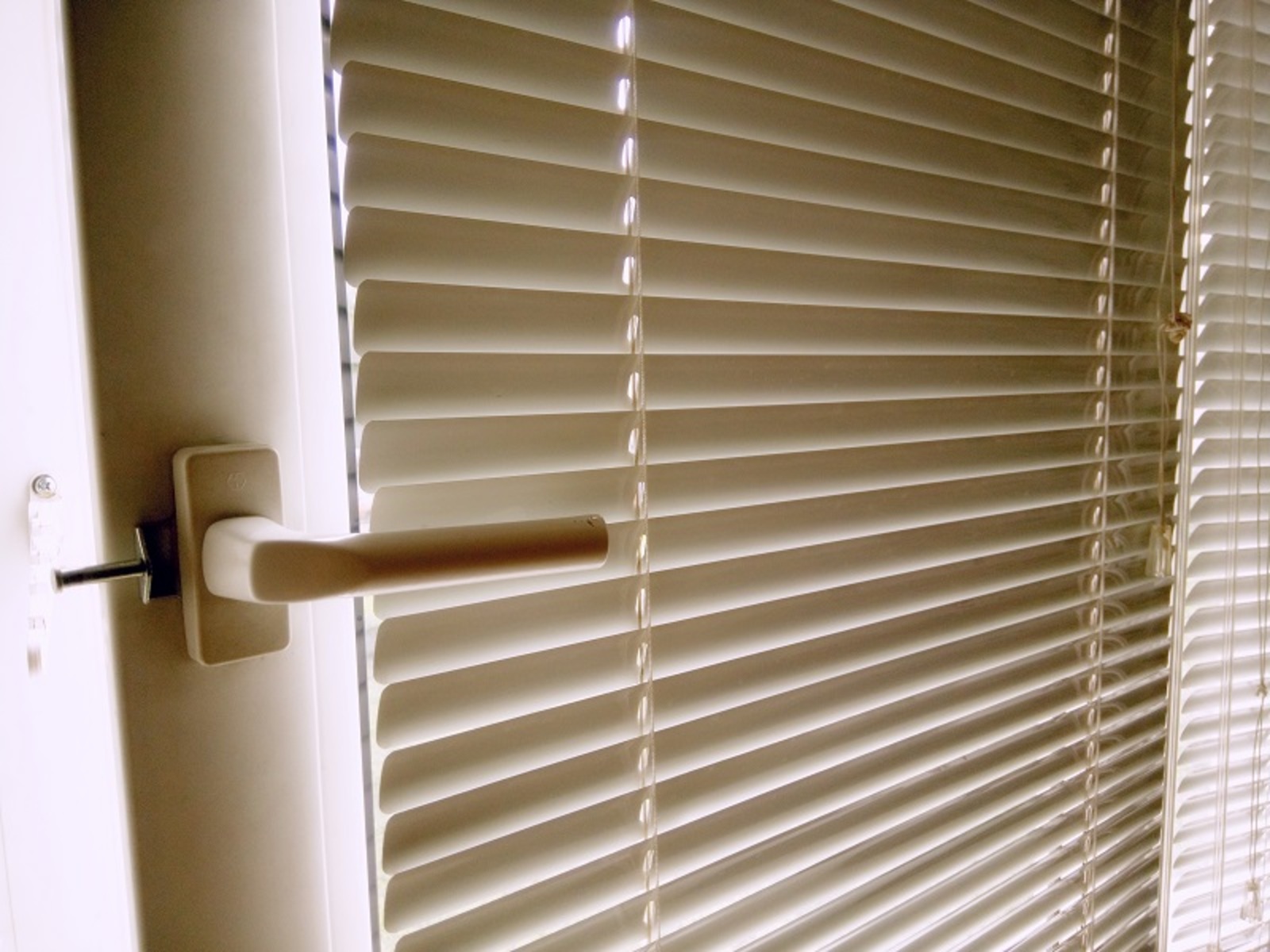 Фото Васили Саитовой.