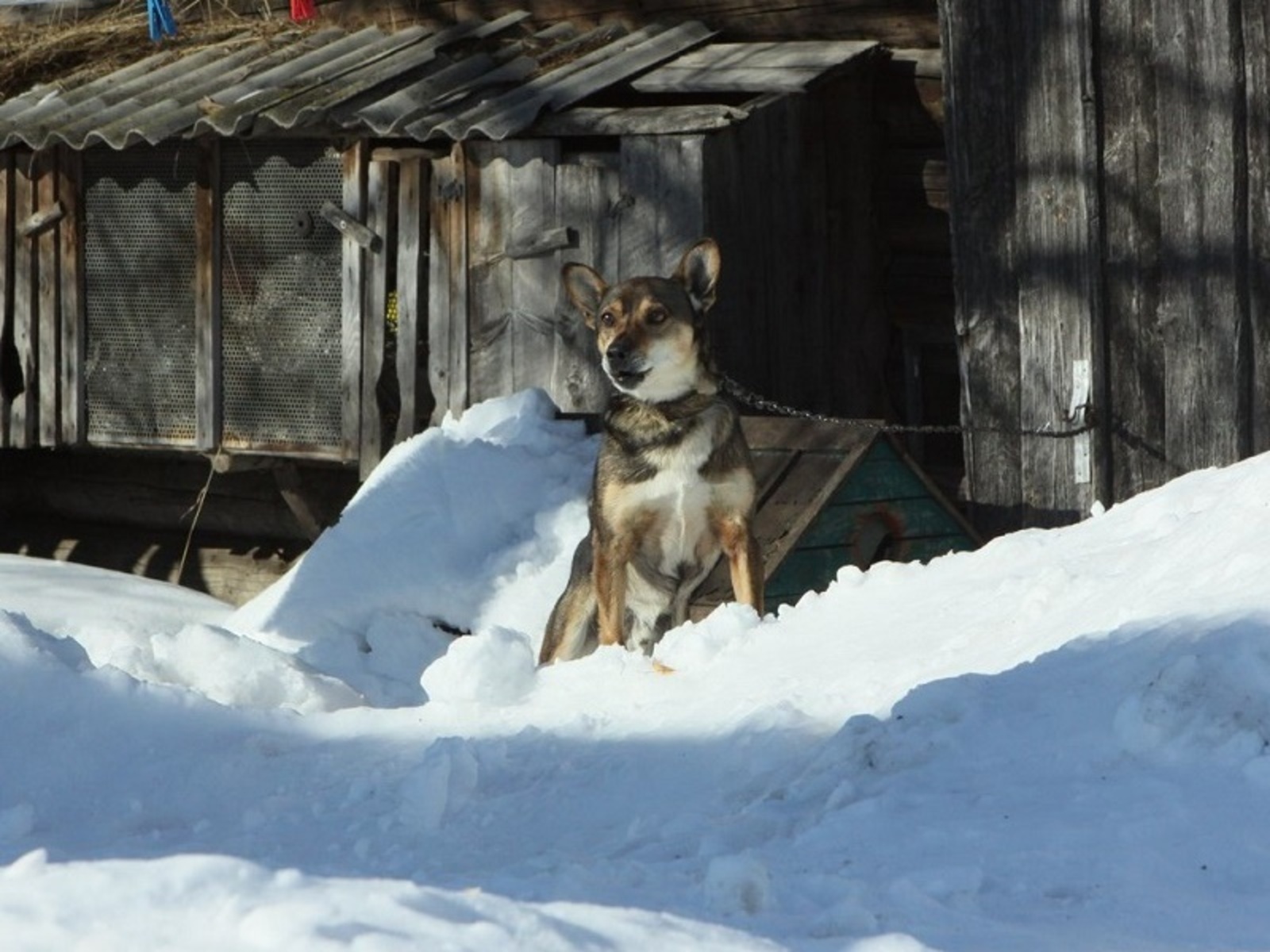 Фото Альмира Сибагатуллина.