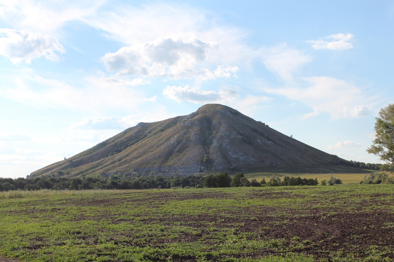 Дарьи Святохиной. «Общественная электронная газета».