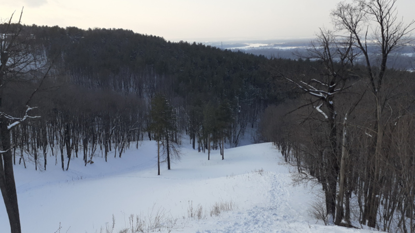 Фото автора.