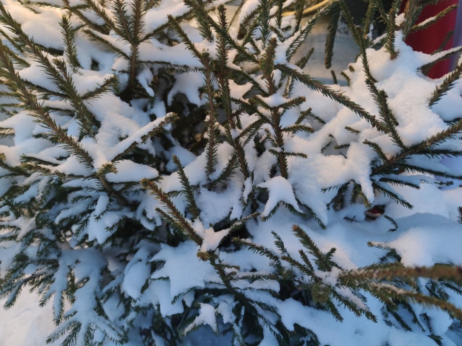 Дарьи Святохиной. «Общественная электронная газета».