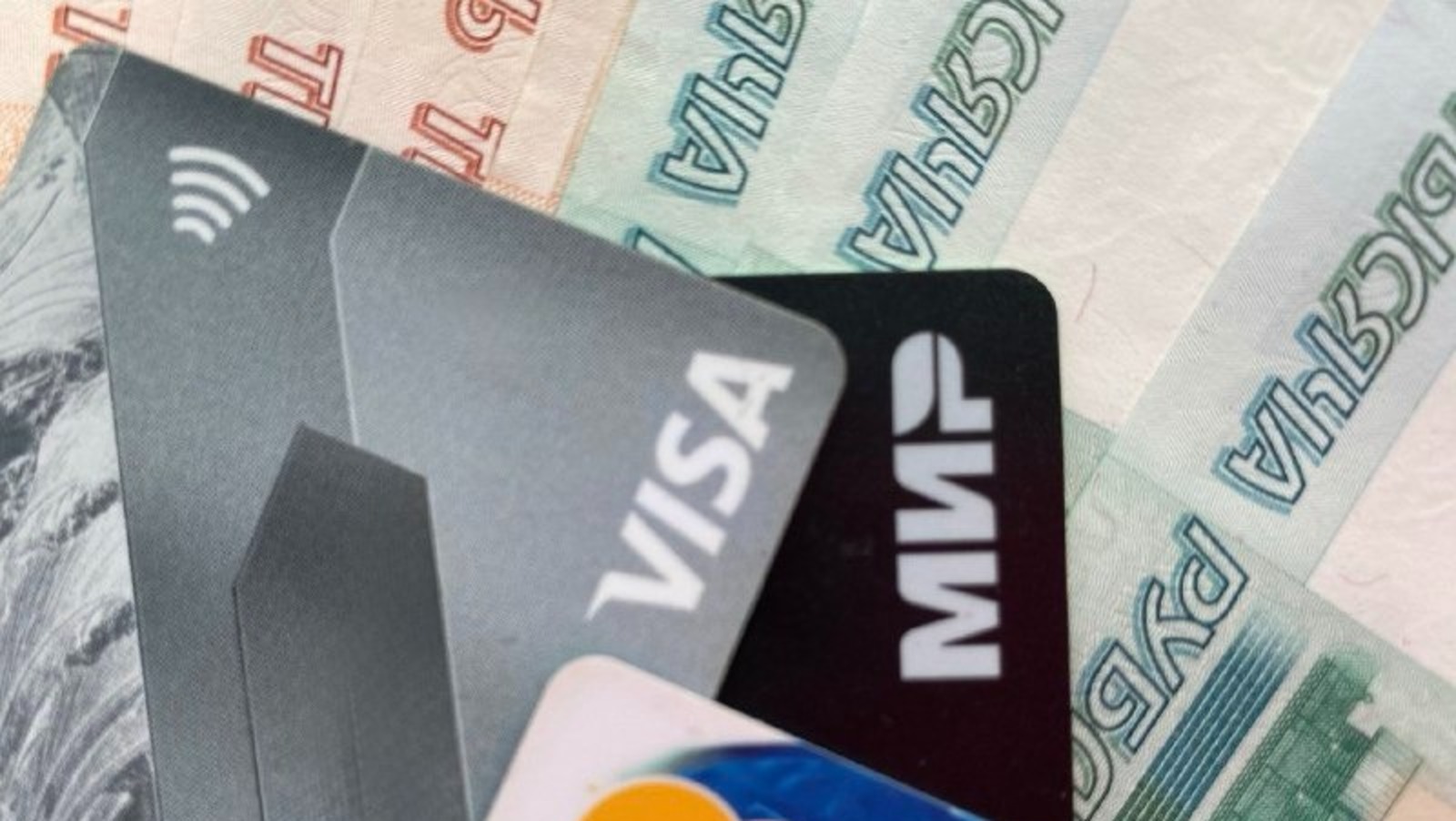 Елены Колоколовой.  «Общественная электронная газета».