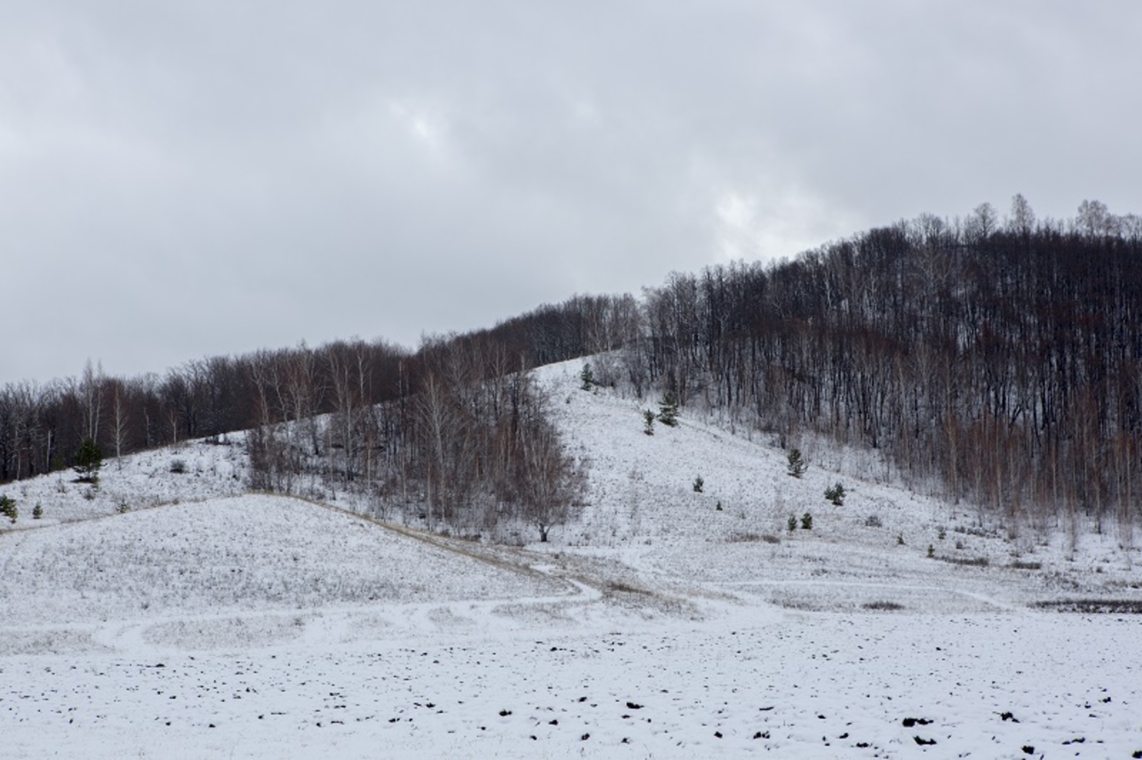 Фото Фаиля Абсатарова.