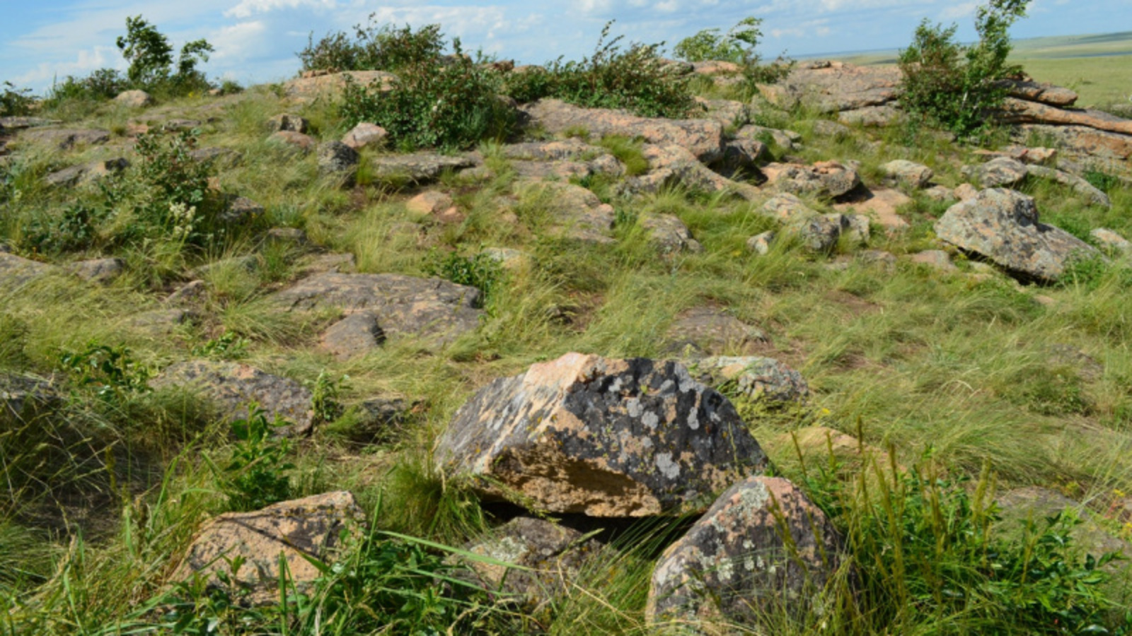 Фото автора.