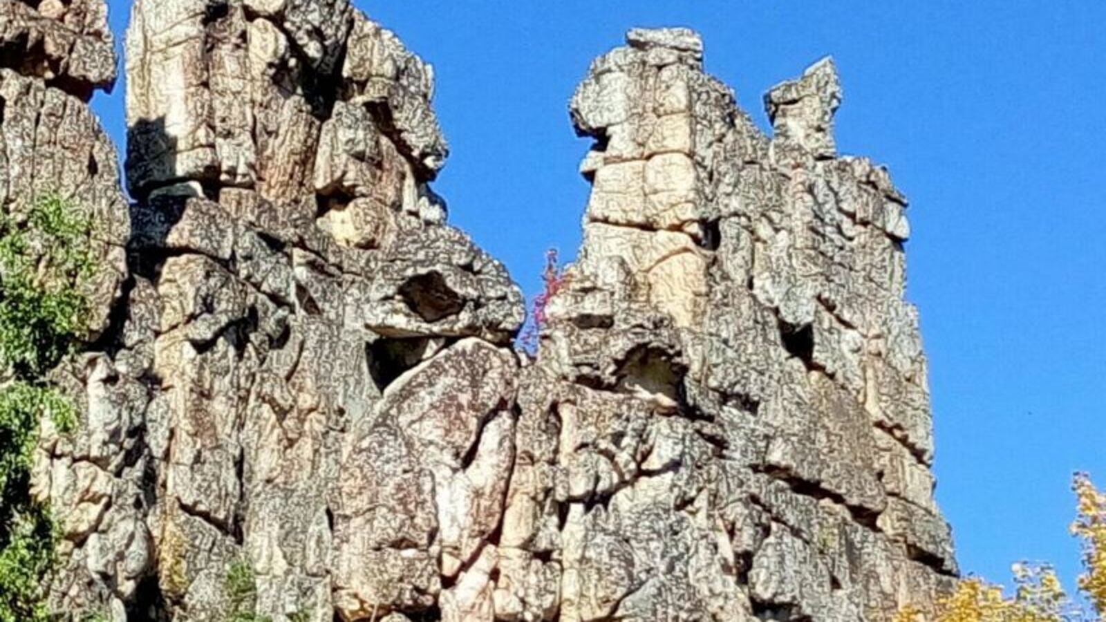 Фото предоставлено Руфиной Шагаповой.