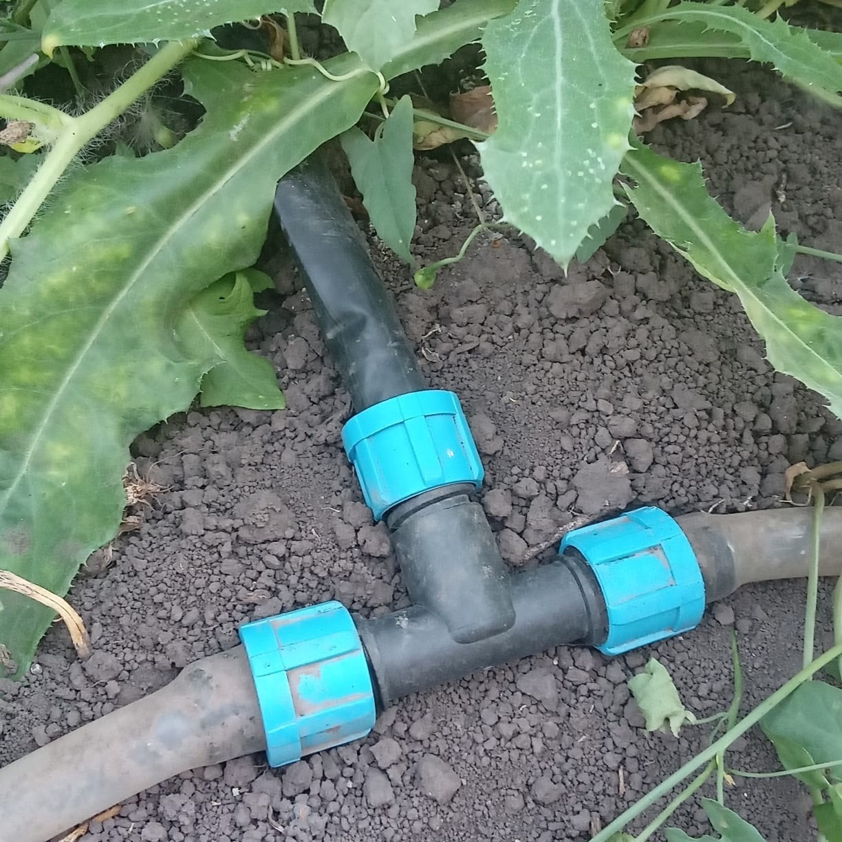 предоставлено Онаром Валикаевым.