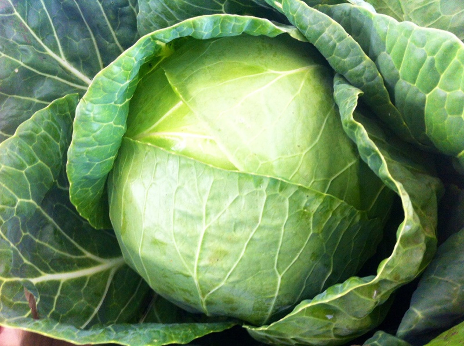 Фото ИА "Башинформ".