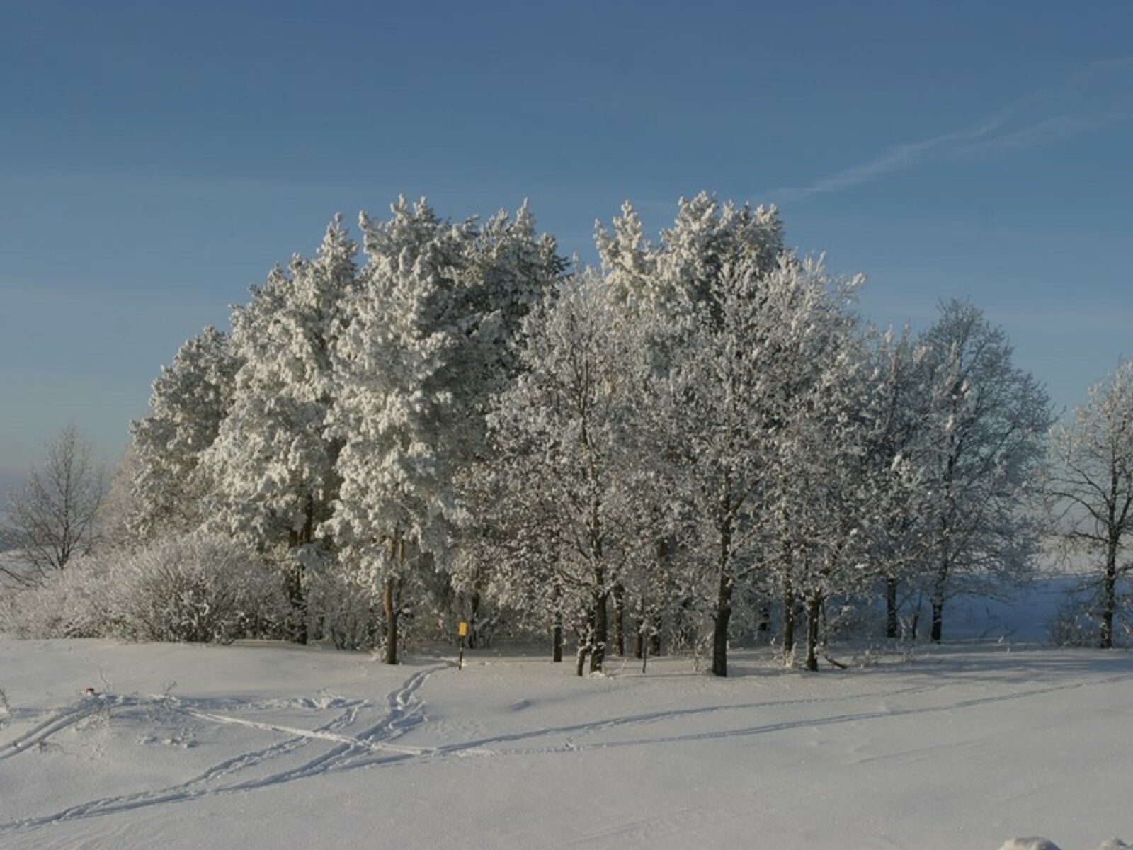 Фото Андрея Старостина.