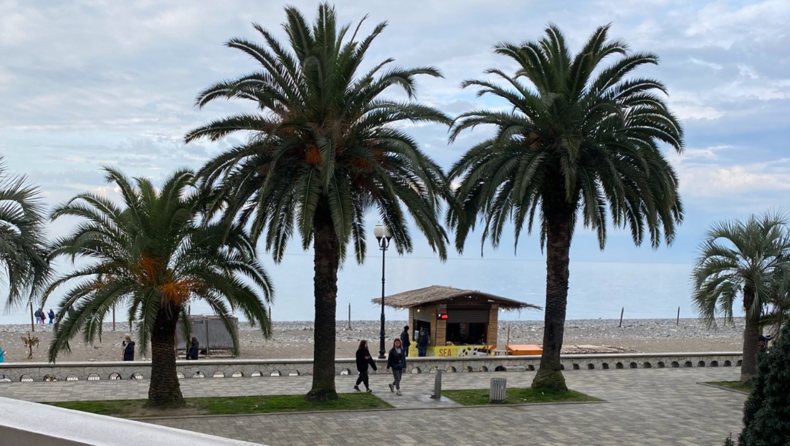 Елены Колоколовой.  «Общественная электронная газета».