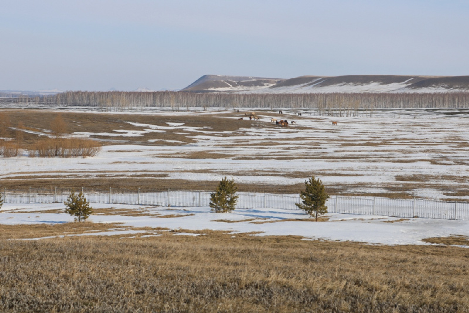 Фото Фарида Гильмиярова.