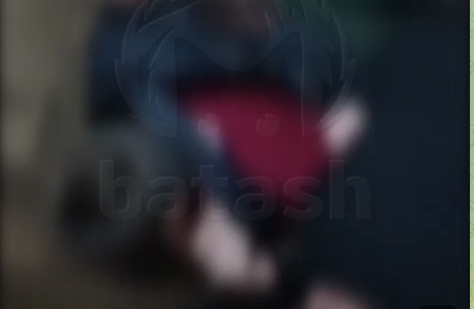 телеграм-канал Mash Batash. скриншот видео.