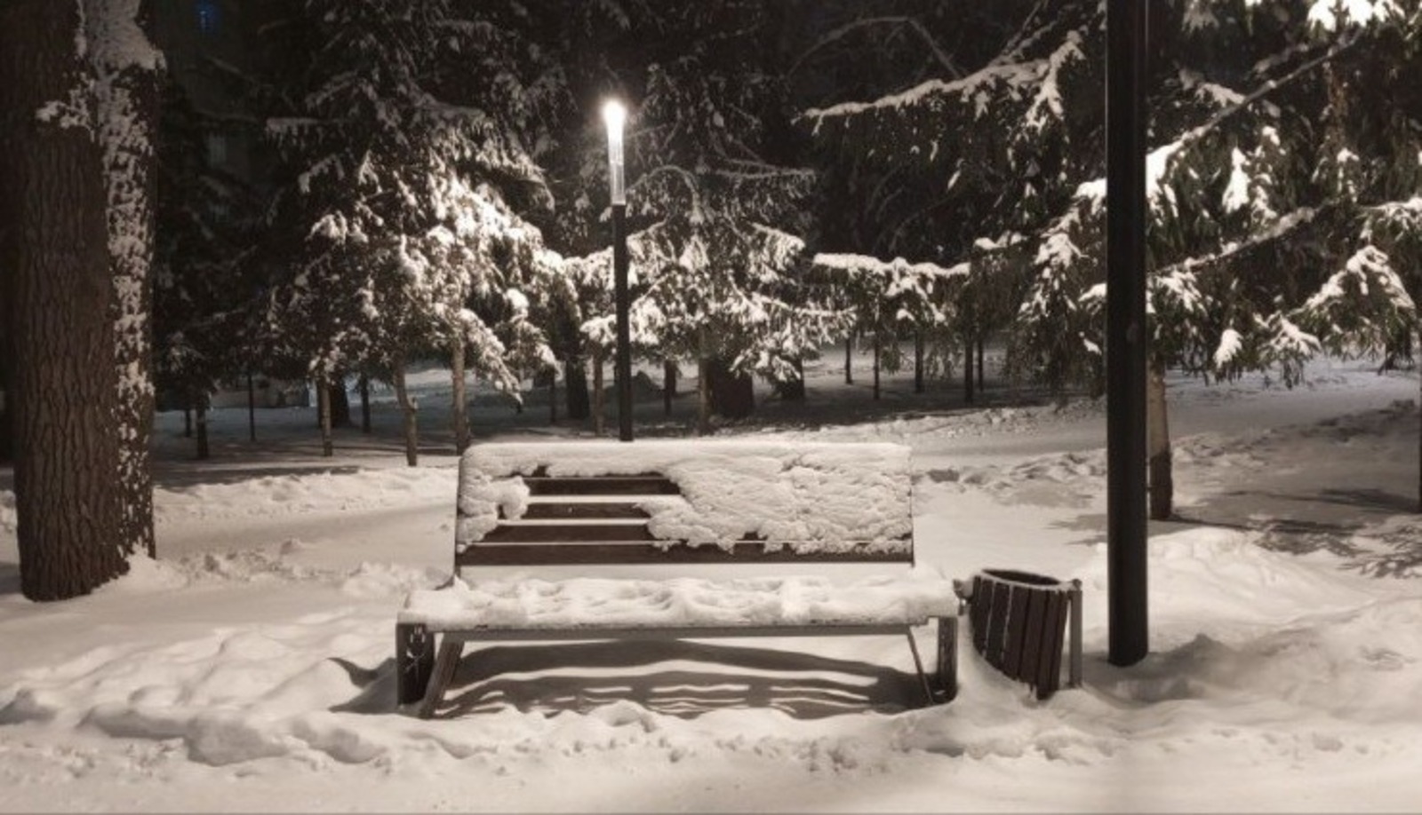 Евгении Сюткиной. «Общественная электронная газета».