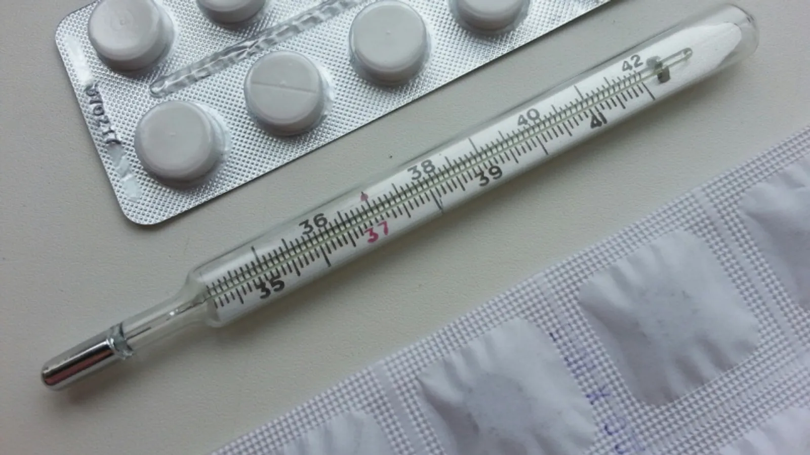 Фото Елены Колоколовой.