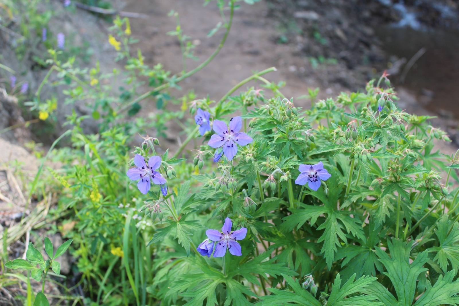 Дарьи Святохиной.
