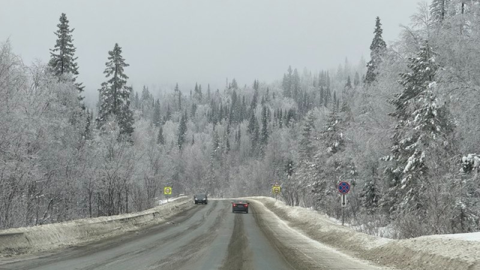 Елены Колоколовой.  «Общественная электронная газета».