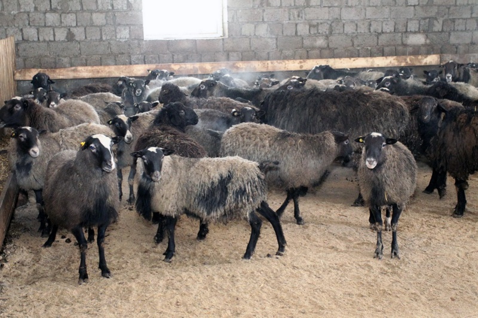 Фото Олега Яровикова.