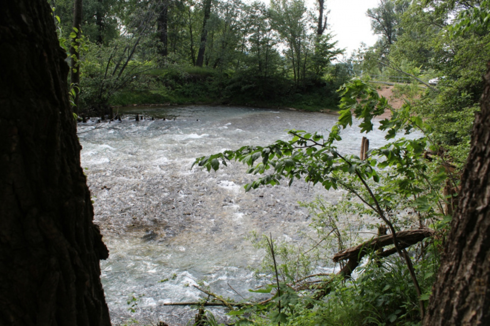 Фото автора.