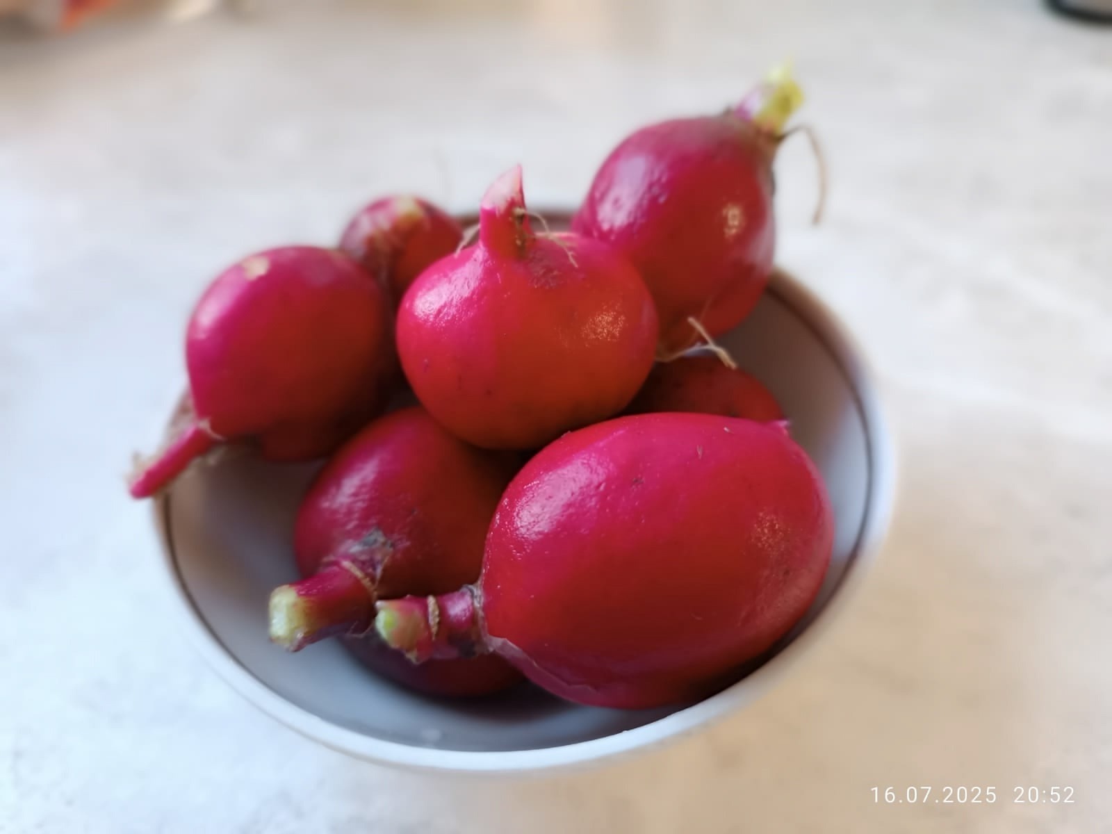 Дарьи Святохиной.