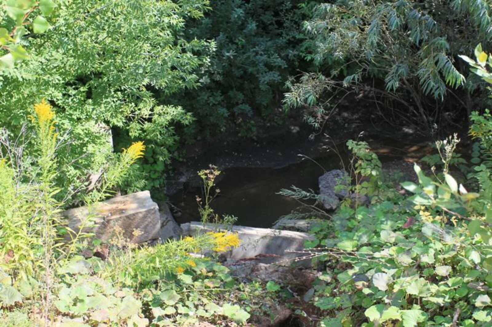 Фото Олега Яровикова.