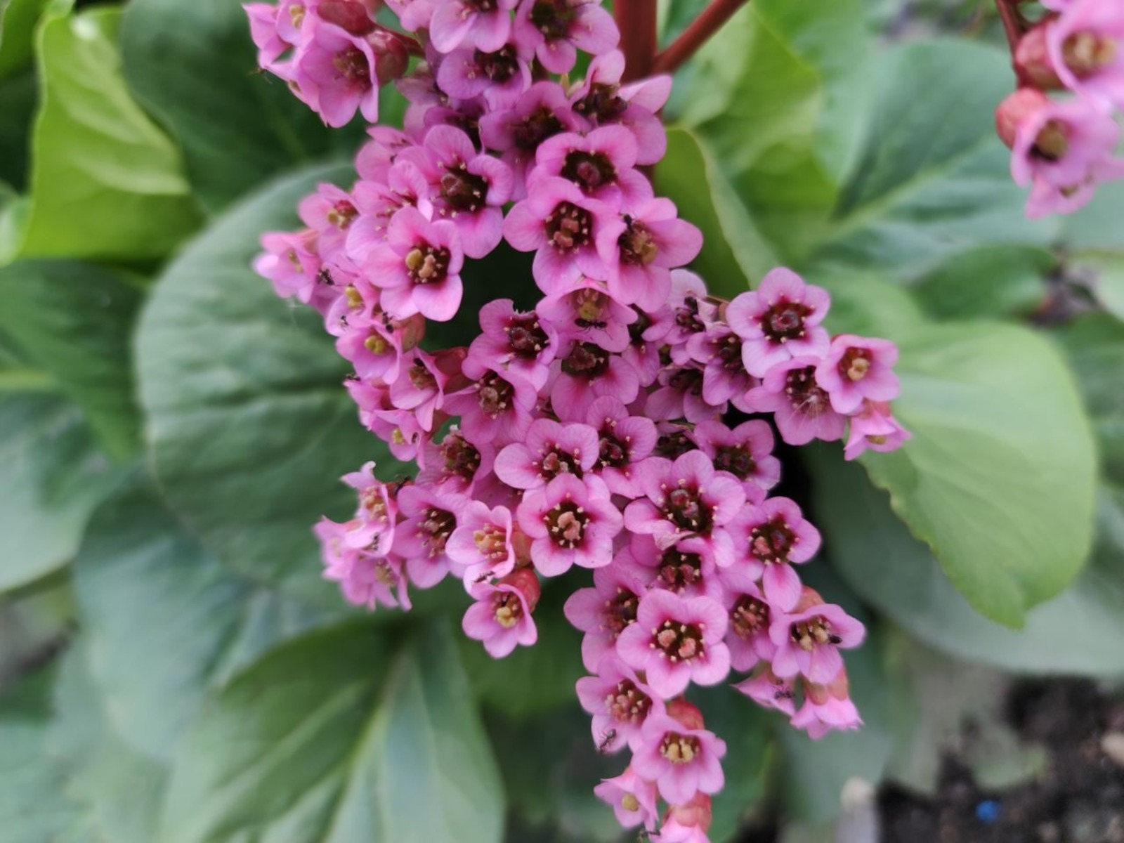 Дарьи Святохиной.