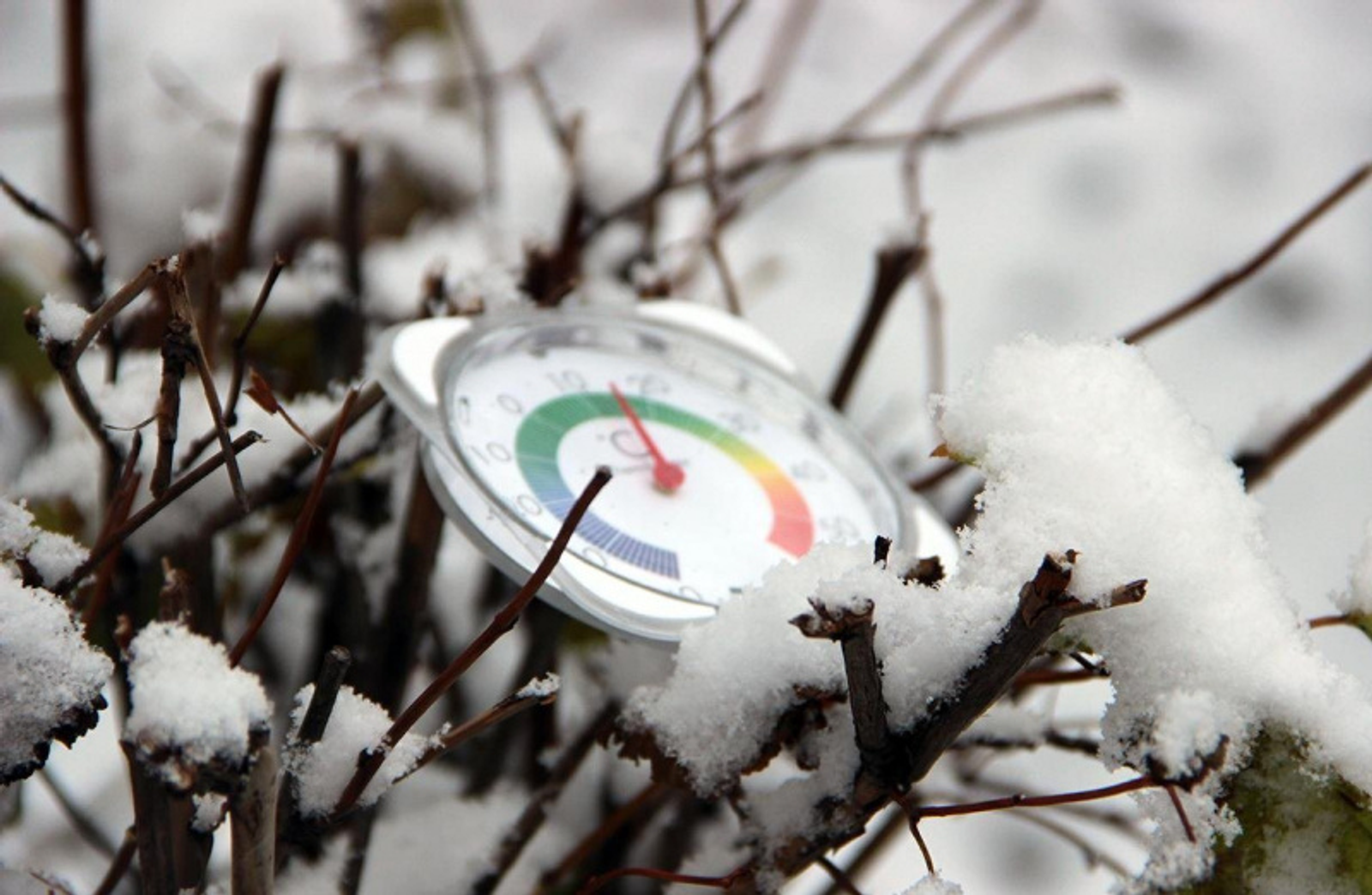 Фото: ИА «Башинформ».