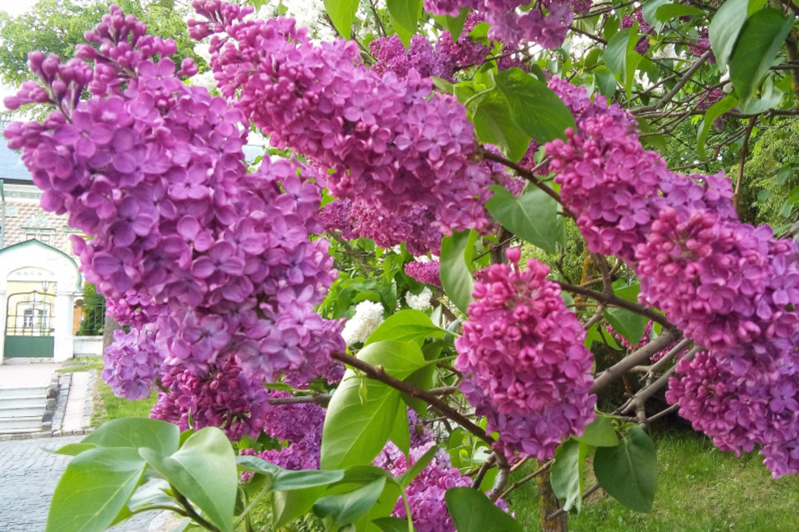 Фото Евгении Сюткиной.