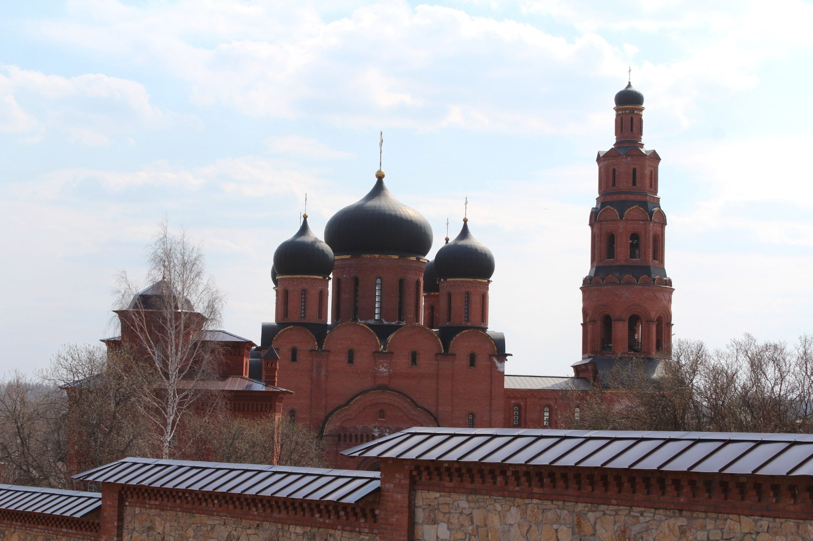 Дарьи Святохиной. «Общественная электронная газета».