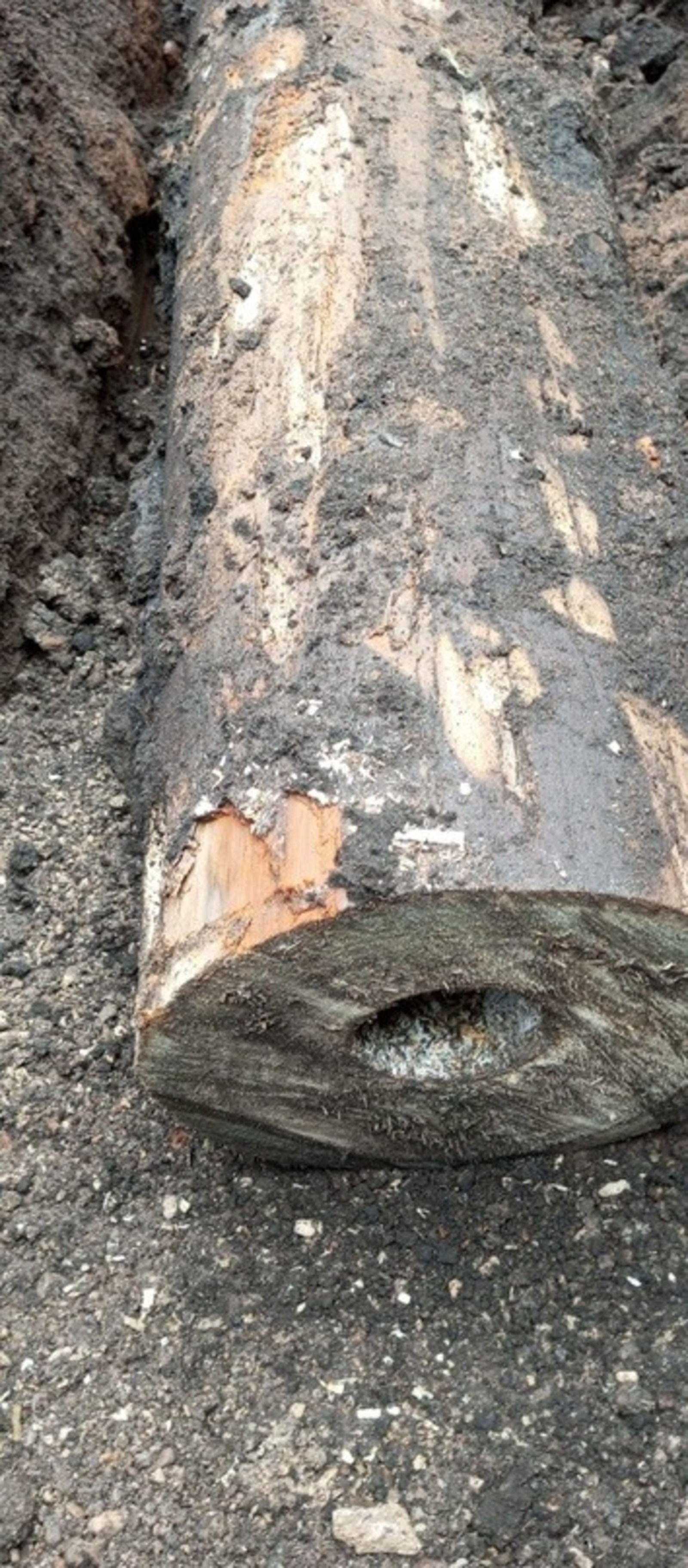 Vk, личная страница Рустема Газизова.