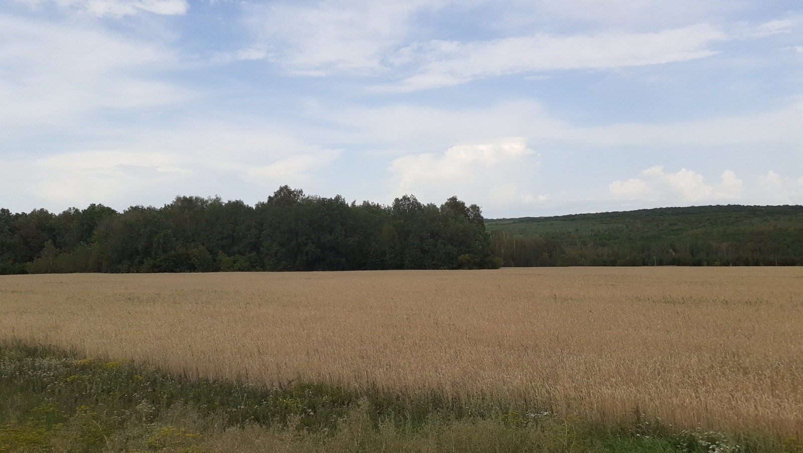 Владимира Шакиева. «Общественная электронная газета».