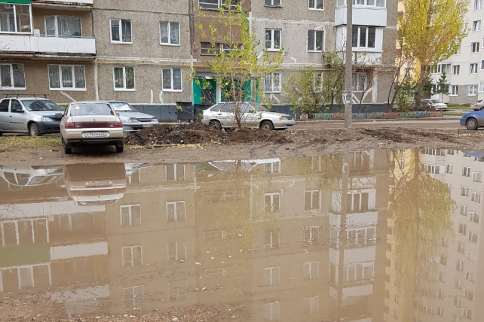 Фото предоставлено Е. Нефедовой.