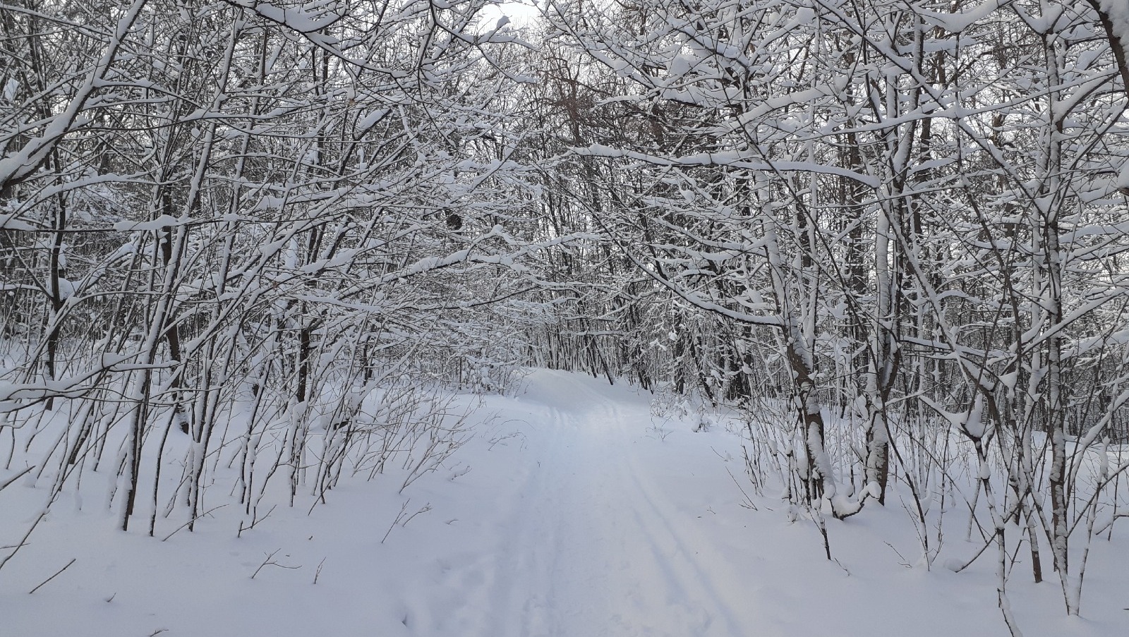 Владимира Шакиева.  «Общественная электронная газета».