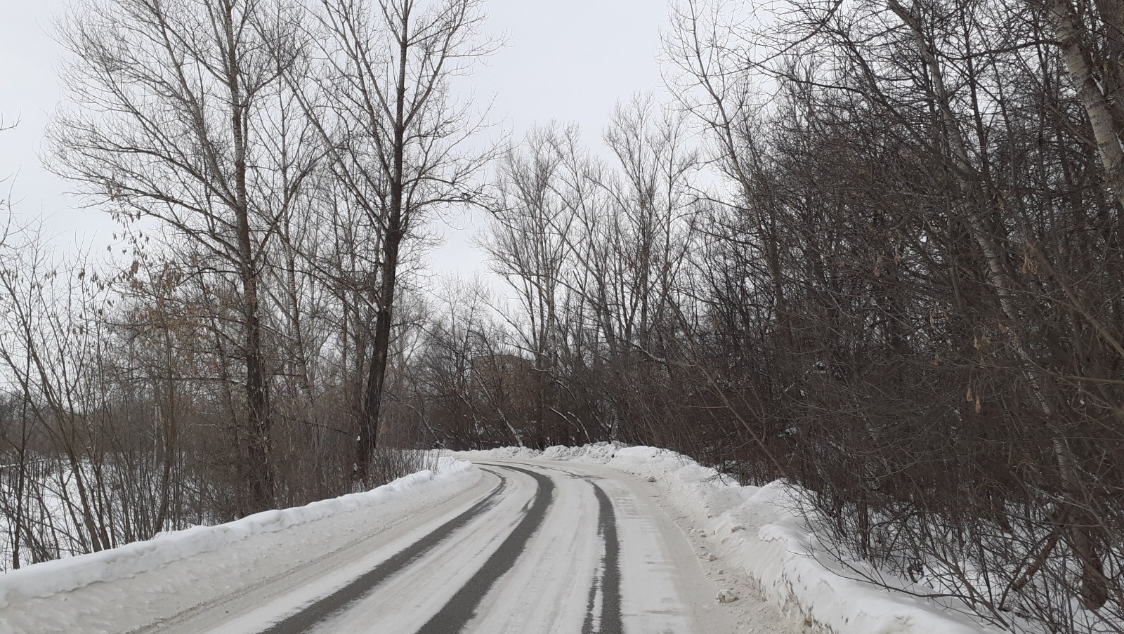Владимира Шакиева.  «Общественная электронная газета».