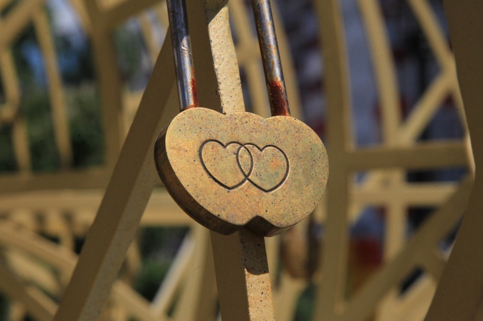 Фото Олега Яровикова.