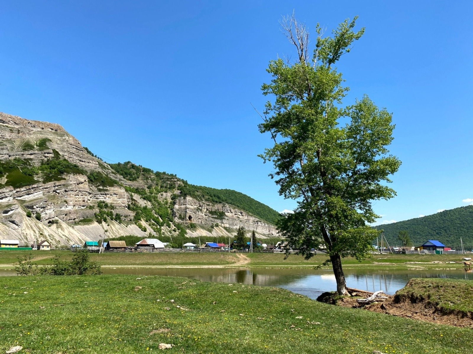 Елены Колоколовой.