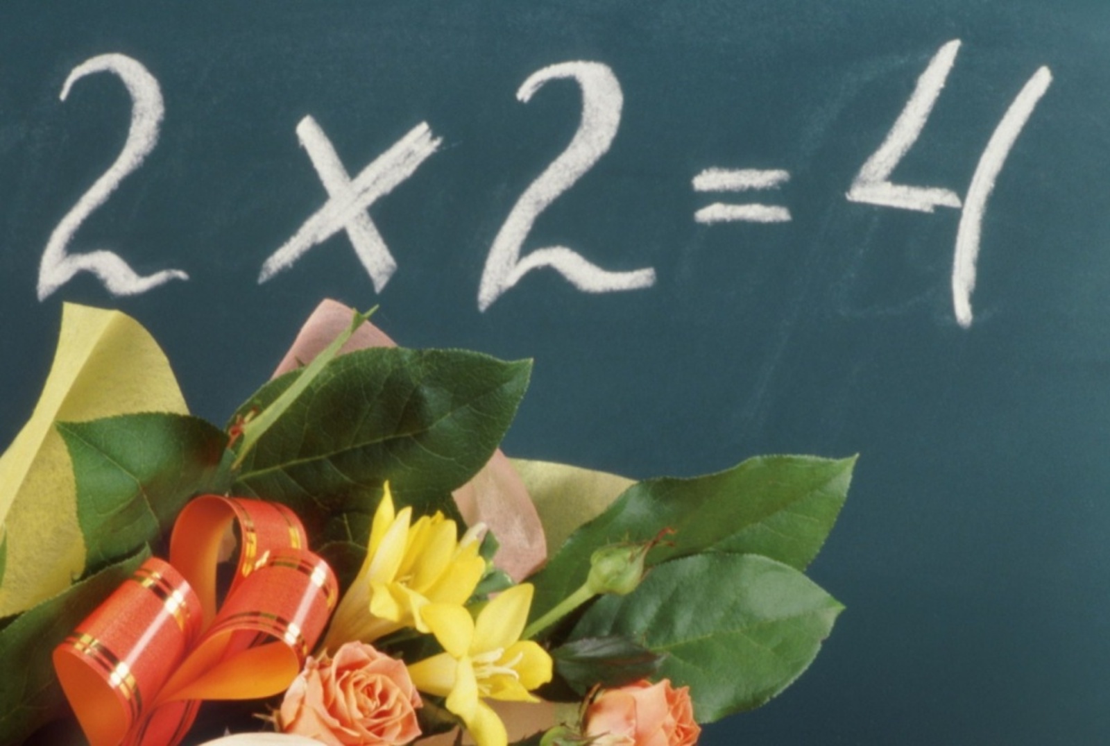 Фото с сайта www.zastavki.com.