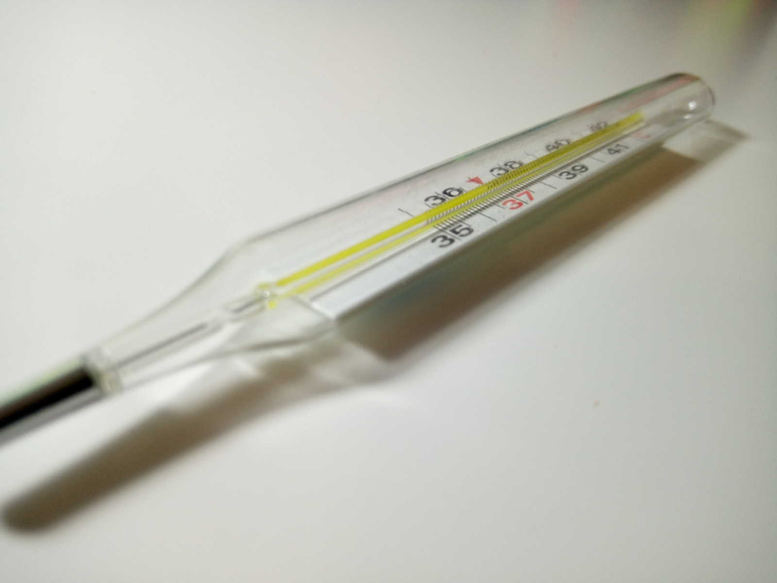 Фото Васили Саитовой.